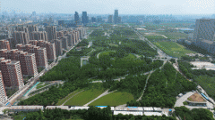 年轻人神驰的活动