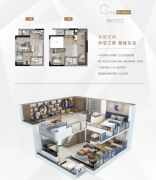 注：以上均是征询热线无论是征询项目详情取看